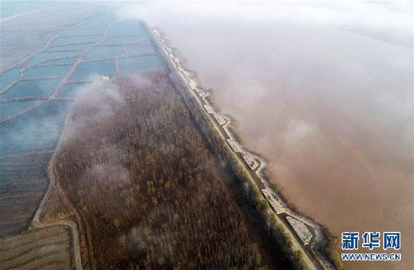 （美丽中国）（3）黄河湿地景如画