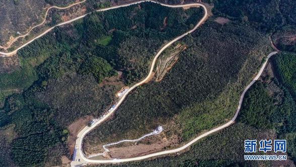 （经济）（5）广西凌云：低产油茶改造助农脱贫