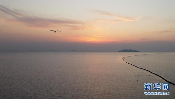 （环境）（2）落日余晖映巢湖