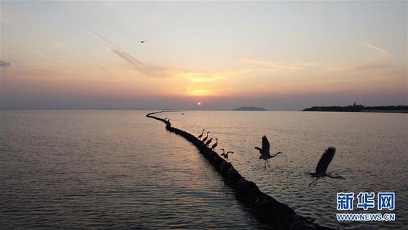 （环境）（3）落日余晖映巢湖