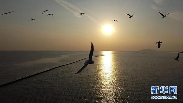 （环境）（4）落日余晖映巢湖