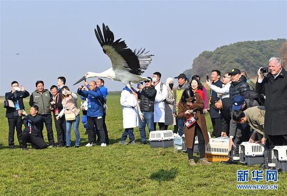 （环境）（4）120只珍稀候鸟放飞鄱阳湖