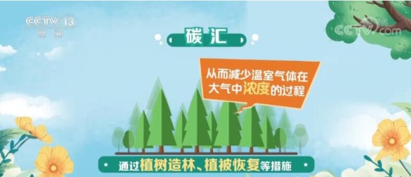 庄闲和游戏-【央媒聚焦内蒙古·中国环境报】巴彦淖尔市首笔线下林业碳汇交易落地