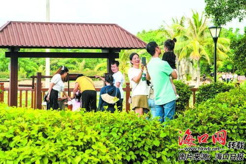 海口市演丰镇芳园村正式加入海南五椰级乡村旅游点