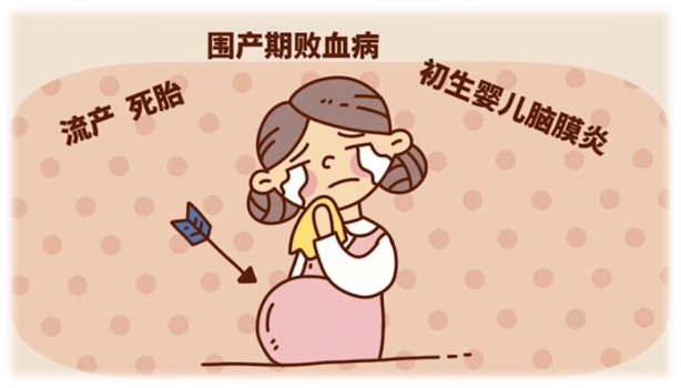 1c786774ace471ba76c85dcde798f641_quality,Q_80.png