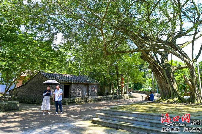 探索基层乡村文化建设的新模式与路径3.