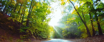 a485af9fe433387b712c4dcec30e59b8_105012025030800009167.gif