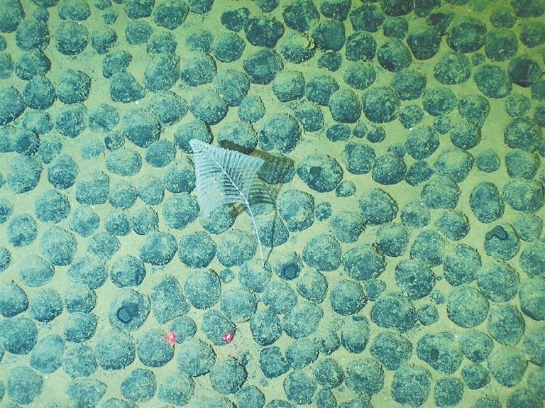 bf892e74d00010e0c370c9e38f831e6f_21074957_hnrbtp2_1746807187046_s.jpg