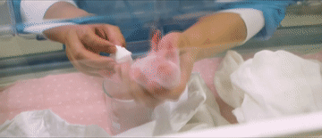 e4b408681df085c9cb6461f5d5c75724_105012025052200030119.gif