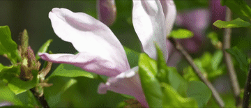 60a3d936e770bf1f6838edaff58105a5_105012025052600001918.gif