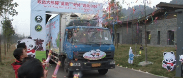 ef0f8af3cf2d18ceb51b98687fb38a37_105012025052600001886.gif