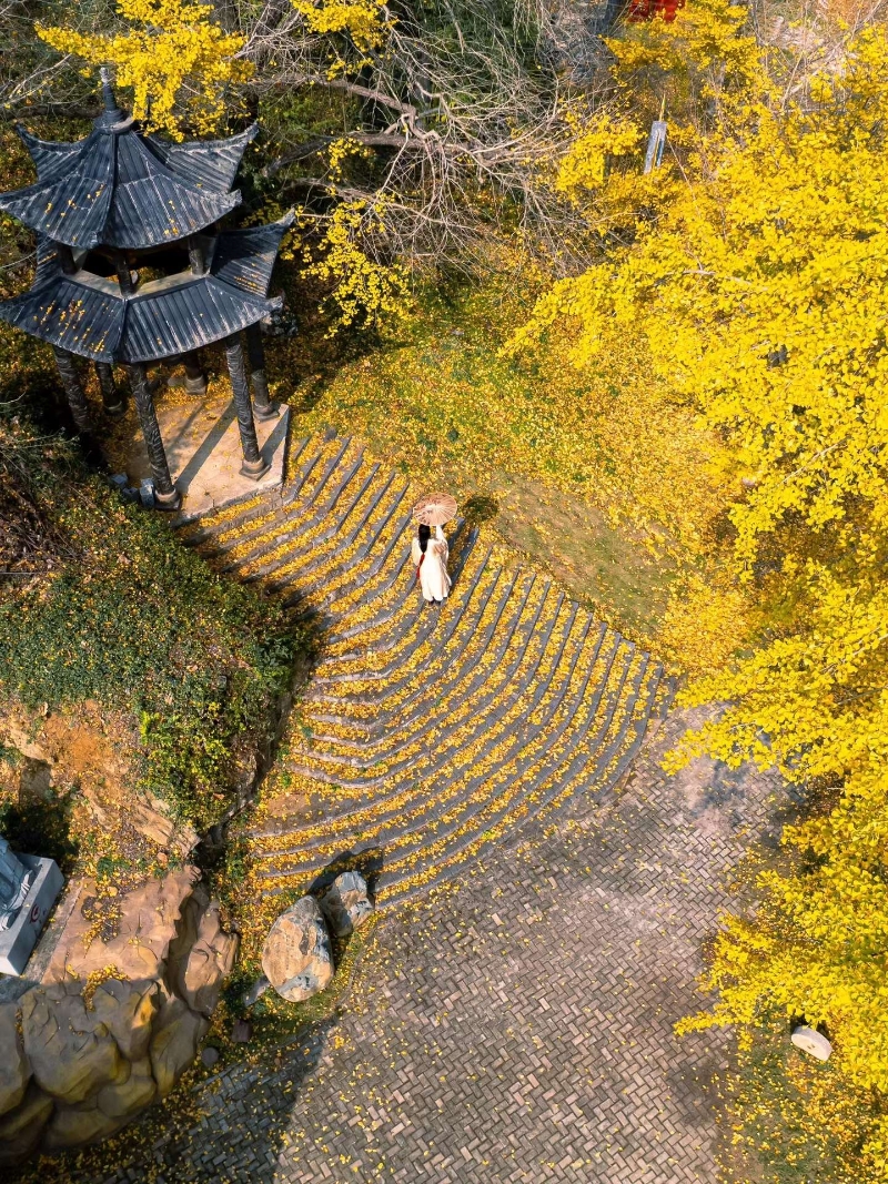 微信图片_20250914163031_38_98