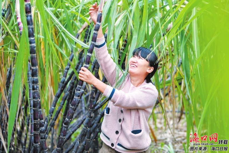 e518070059475b049d861c387165e857_2dabee304f4570470cd4b9a2916c825f.jpg e518070059475b049d861c387165e857_2dabee304f4570470cd4b9a2916c825f.jpg