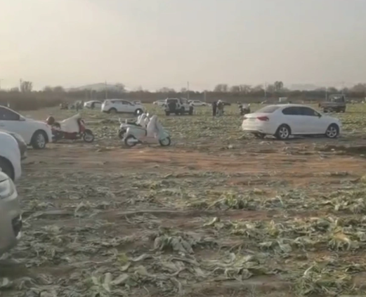 e24f0cb7eab4bdd1645ccb055df8b343_20251113133134150.png e24f0cb7eab4bdd1645ccb055df8b343_20251113133134150.png