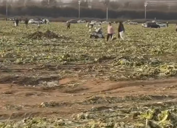 9c0732e07372788b07ff63c9ac4c999f_20251113133134248.png 9c0732e07372788b07ff63c9ac4c999f_20251113133134248.png