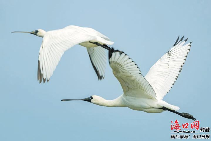 3e998fabac4f0af93e61cb227b75c94d_b2d3925380a6732a0eb4a661f746873d.jpg 3e998fabac4f0af93e61cb227b75c94d_b2d3925380a6732a0eb4a661f746873d.jpg