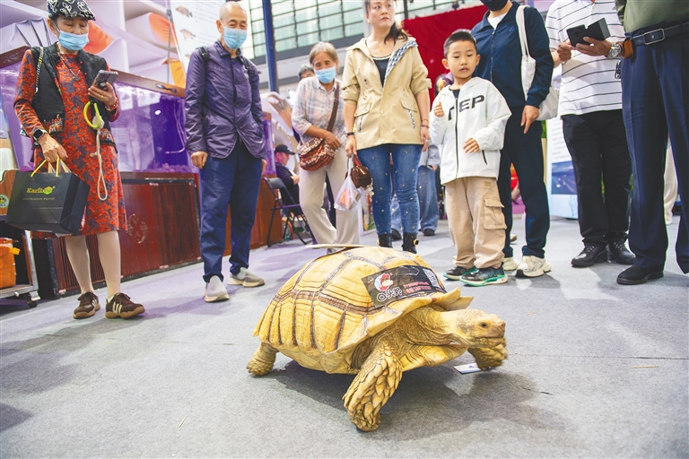 96dc4144811625ab1b29cd80307a7f4c_28268679_hnrbtp1_1764951659492_s.jpg 96dc4144811625ab1b29cd80307a7f4c_28268679_hnrbtp1_1764951659492_s.jpg