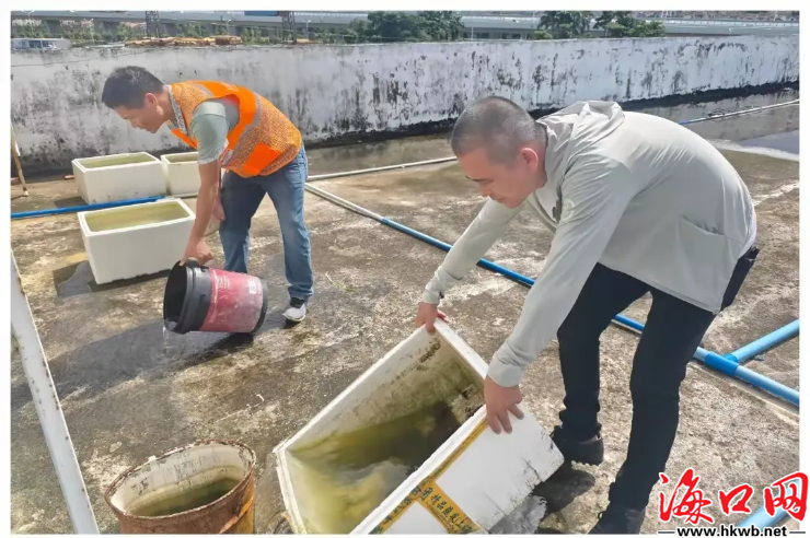 84e99a2b6d92f14d09a2601965a6a18.png 84e99a2b6d92f14d09a2601965a6a18.png