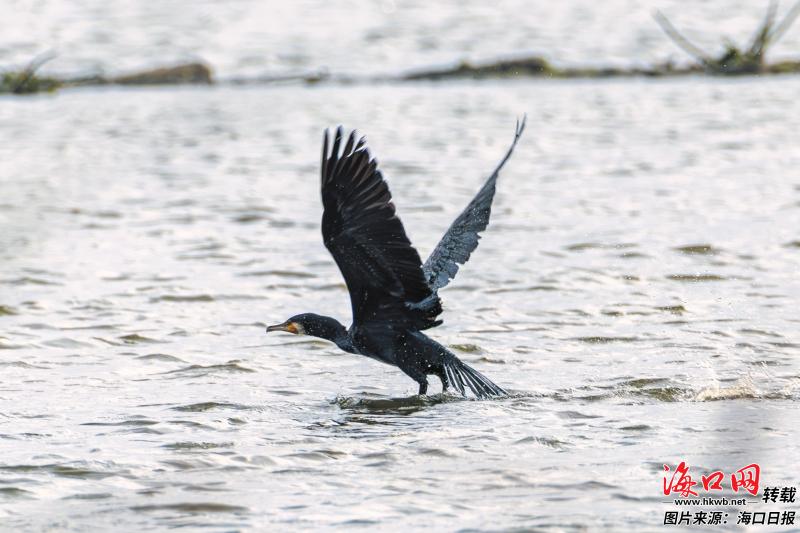 f71d6ba5b905890b72adde1061e2393e_9302e02a8ba324f44600b93a7d8b866c.jpg f71d6ba5b905890b72adde1061e2393e_9302e02a8ba324f44600b93a7d8b866c.jpg