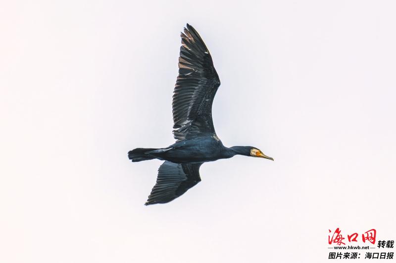 0a91be91847d0db3fb1526dff614d6fd_d66e3230563674ec03d02bb46db921ab.jpg 0a91be91847d0db3fb1526dff614d6fd_d66e3230563674ec03d02bb46db921ab.jpg