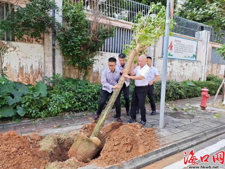 67916a568e5892b1546253f13742957.png 67916a568e5892b1546253f13742957.png