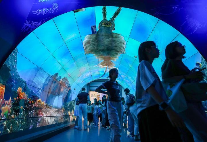 27815913db3220c56134f7ad847d0f53_quality,Q_80.jpg 27815913db3220c56134f7ad847d0f53_quality,Q_80.jpg