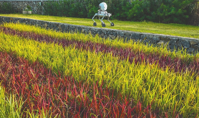 ab7a636bc8fa22efe0d8ad047d6a1545_29018243_hnrbtp1_1765814375778_s.jpg ab7a636bc8fa22efe0d8ad047d6a1545_29018243_hnrbtp1_1765814375778_s.jpg