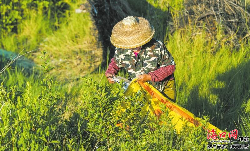 4b9e67ecba29460d7ee0de9ae41f5e7c_d3307796ebc9bb11835033a0d651e501.jpg 4b9e67ecba29460d7ee0de9ae41f5e7c_d3307796ebc9bb11835033a0d651e501.jpg