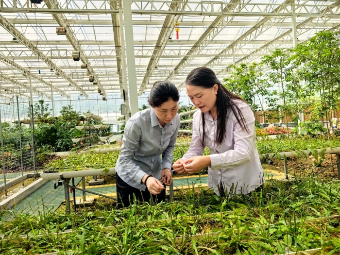 8966b5a02512ead8dcfff990b014e5c5_quality,Q_80.jpg 8966b5a02512ead8dcfff990b014e5c5_quality,Q_80.jpg