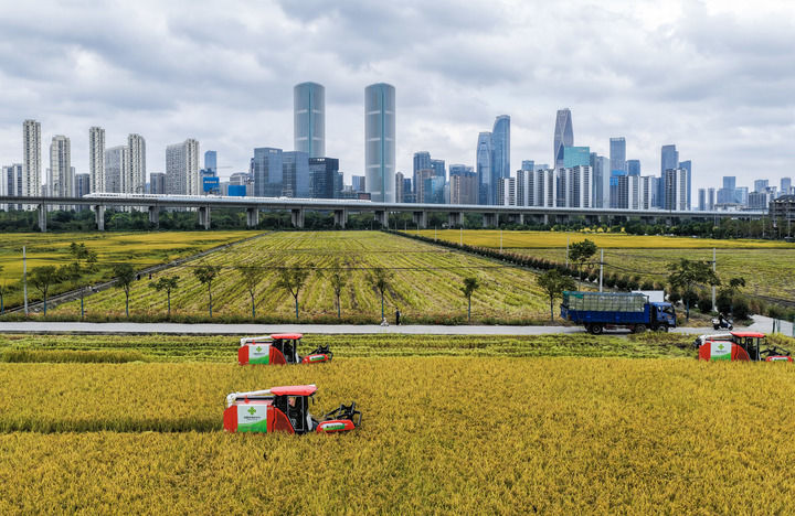 da0bcf1246e9e8dbb98d1271eed1141c_quality,Q_80.jpg da0bcf1246e9e8dbb98d1271eed1141c_quality,Q_80.jpg