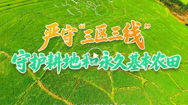 严守“三区三线”守护耕地和永久基本农田