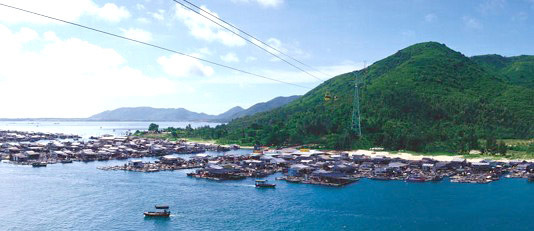 陵水南湾猴岛 走进猴子的王国_旅游达人_试试