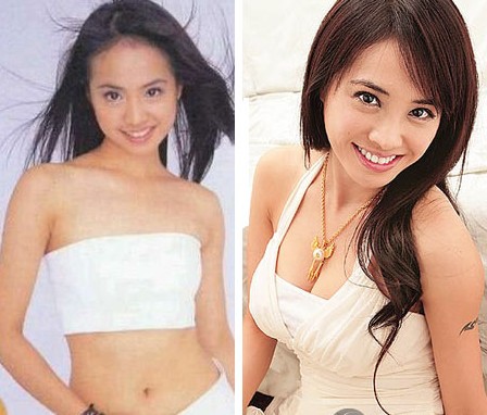 蔡依林隆胸风波有说法[图]_整 形_资讯_海口网