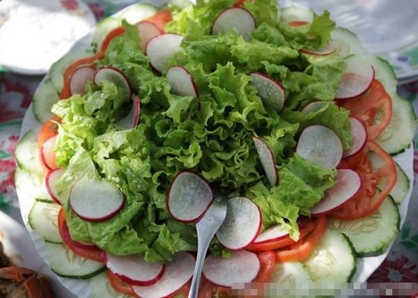 古巴贫民的生活水平啥样图片频道 - 海口网 - 海