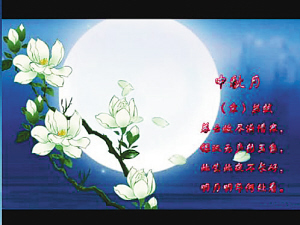 中秋夜空的美丽月光_椰城原创_琼台人文_海口