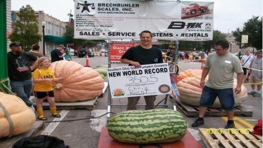 美男子种出近160公斤重西瓜 将作为展品展出_