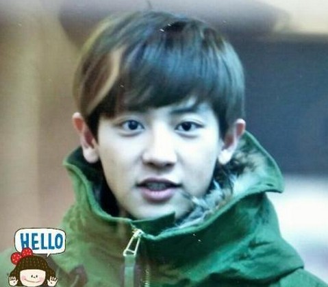 2014红白艺能大赏exo机场酷帅照 kris吴亦凡皮衣超黑秀长腿 廘晗迷人图片