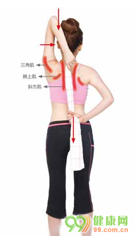 8395ab8566a9dc36caf62e3847e0686f.png