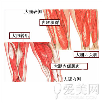 3组最好动作告别收紧效果肌肉拉伸瘦腿腿_减健身减肥大腿几点大象图片