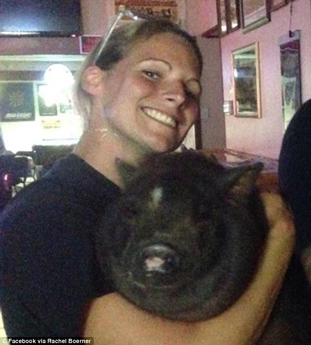 美国美女带宠物猪上飞机 治愈系猪猪大小便又