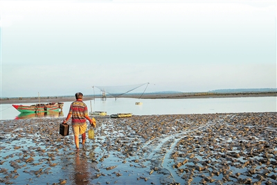 明万历33年琼北大地震成因揭秘:三因素促成地