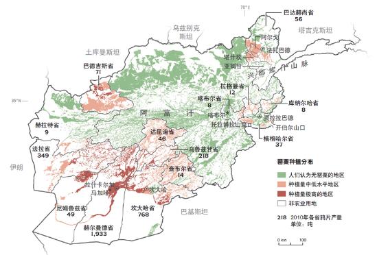 铲除罂粟行动把种植鸦片的农户逼到了阿富汗的边境地区.