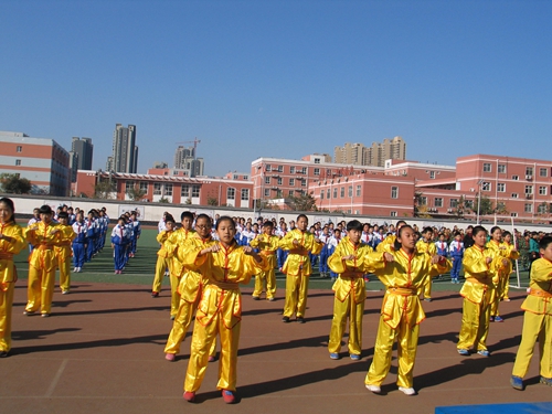 银杏小学2014—2015年下期学校安全工作总结
