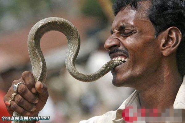 目瞪口呆的印度奇葩怪事:男子活吞蛇吓死人