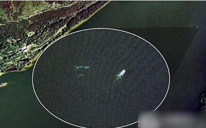 无法解释的神秘怪物 身影 图片频道 - 海口网 -