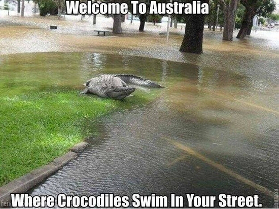 为什么说没有十足的勇气 就别去澳大利亚!_出