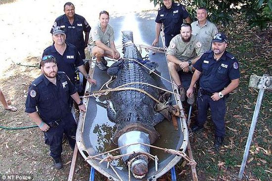 为什么说没有十足的勇气 就别去澳大利亚!_出