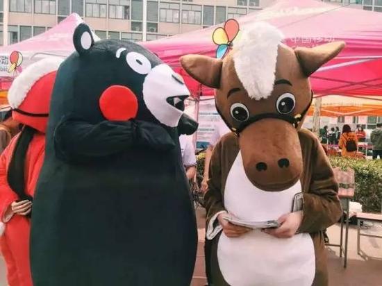 马术高校行:骑着马儿去华电 近距离感受马术魅