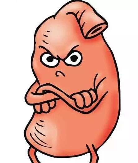 马拉松备战力量训练 左手肌肉右手饮食_体育快