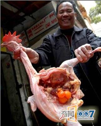 公鸡下蛋的真正原因图片频道 - 海口网 - 海口权威新闻门户网站